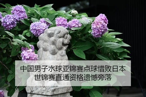 中国男子水球亚锦赛点球惜败日本 世锦赛直通资格遗憾旁落
